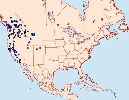 Distribution Data for Apamea antennata