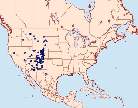 Distribution Data for Apamea atrosuffusa