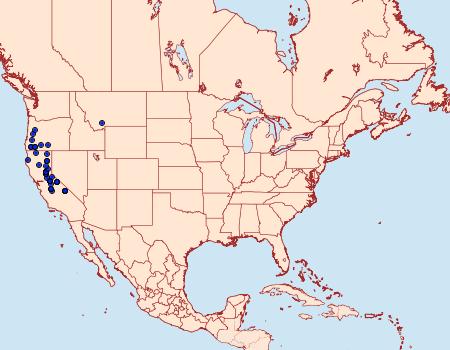 Distribution Data for Apamea tahoeensis