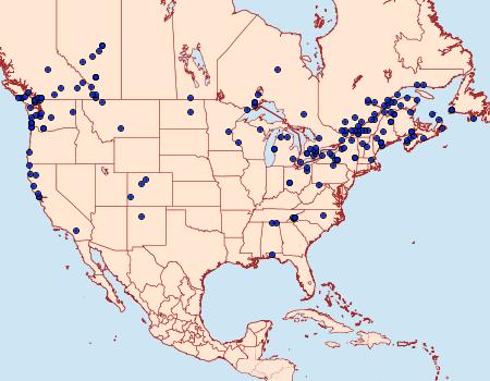 Distribution Data for Apamea vultuosa