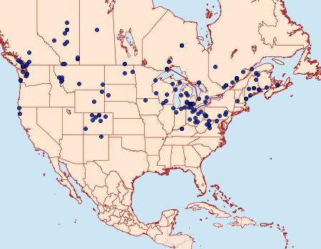 Distribution Data for Apamea plutonia