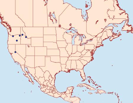 Distribution Data for Depressaria multifidae