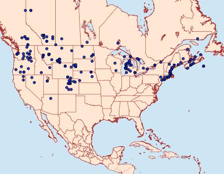 Distribution Data for Apamea inordinata