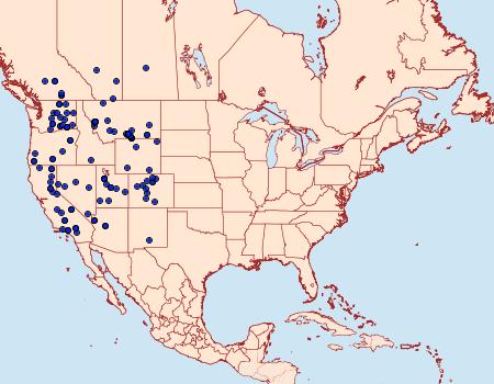 Distribution Data for Apamea spaldingi