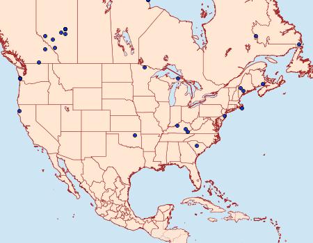 Distribution Data for Apamea remissa