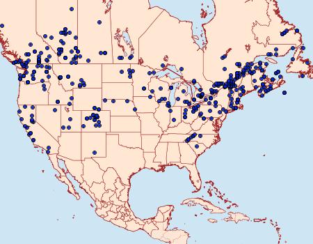 Distribution Data for Apamea sordens