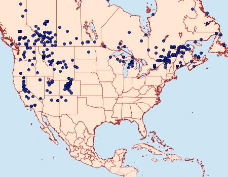 Distribution Data for Apamea scoparia