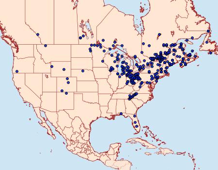 Distribution Data for Apamea dubitans