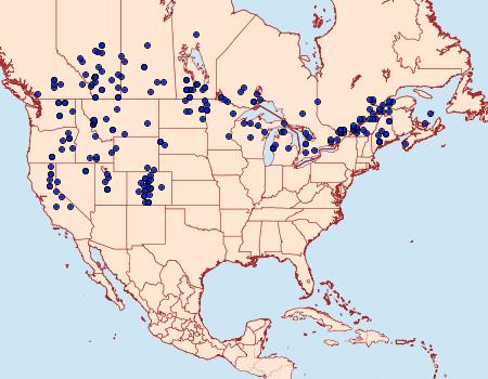 Distribution Data for Apamea niveivenosa