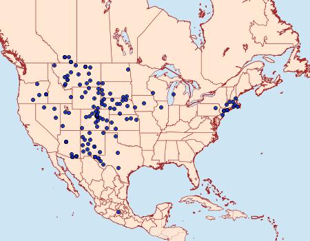 Distribution Data for Apamea burgessi