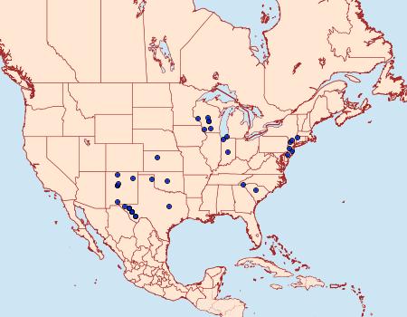 Distribution Data for Apamea relicina