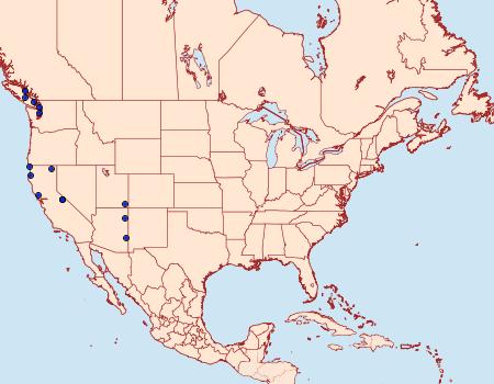 Distribution Data for Resapamea venosa