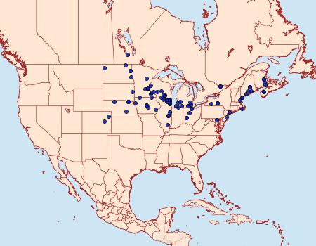 Distribution Data for 