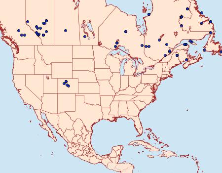 Distribution Data for Apamea contradicta