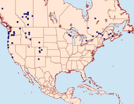 Distribution Data for Eremobina claudens