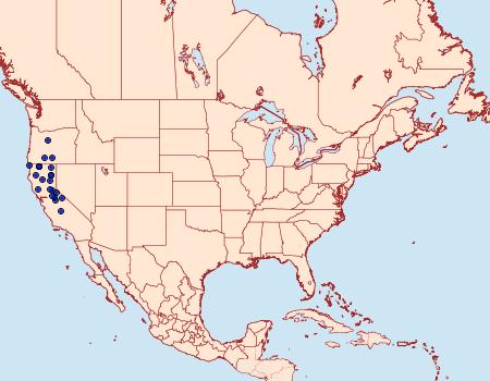 Distribution Data for Eremobina unicincta