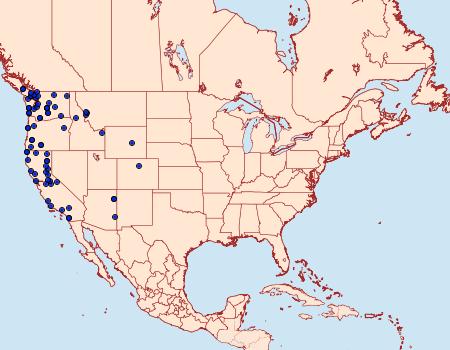 Distribution Data for Xylomoia indirecta