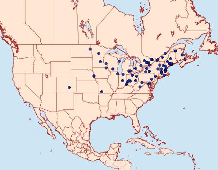 Distribution Data for Neoligia exhausta