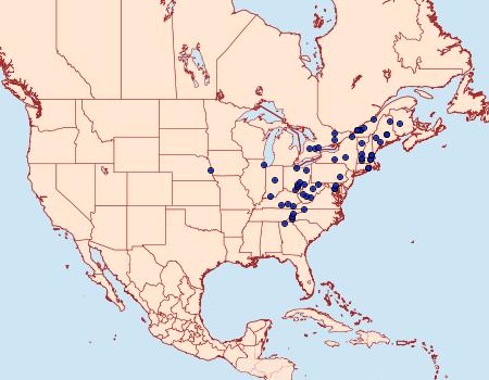 Distribution Data for Neoligia crytora