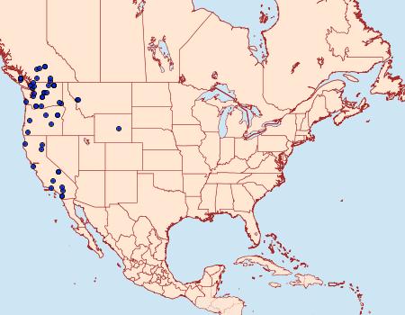 Distribution Data for Neoligia invenusta