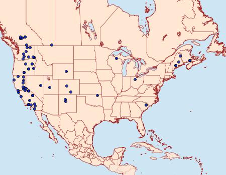 Distribution Data for Neoligia tonsa