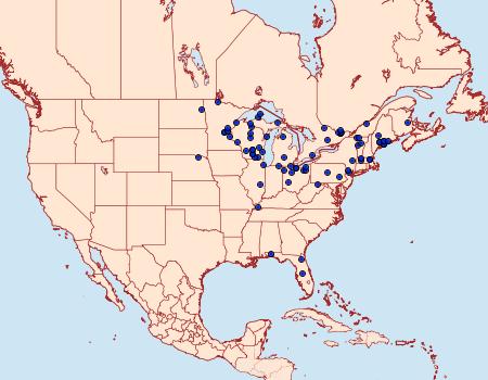 Distribution Data for Lemmeria digitalis