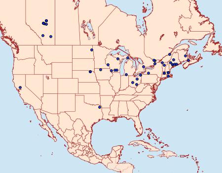 Distribution Data for Photedes includens