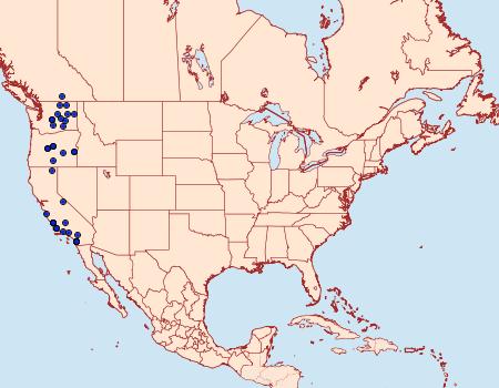 Distribution Data for Benjaminiola colorada