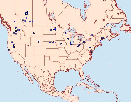 Distribution Data for Globia subflava