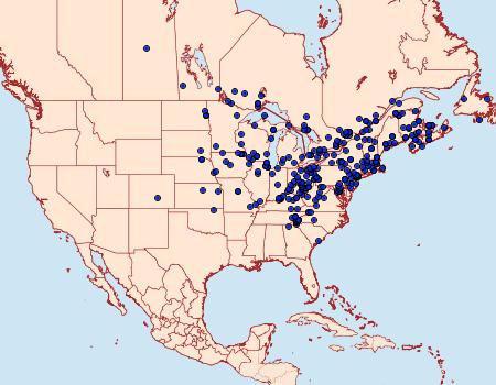 Distribution Data for Loscopia velata