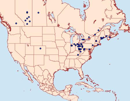 Distribution Data for Amphipoea interoceanica