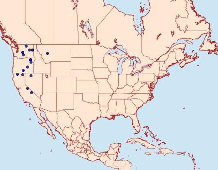 Distribution Data for Amphipoea keiferi