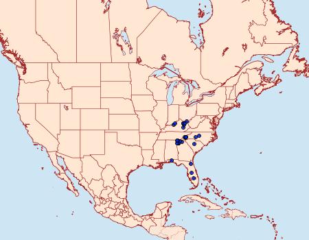 Distribution Data for Papaipema polymniae