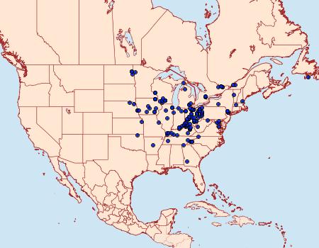 Distribution Data for Papaipema arctivorens