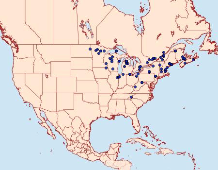 Distribution Data for Papaipema pterisii