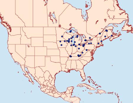 Distribution Data for Papaipema nepheleptena