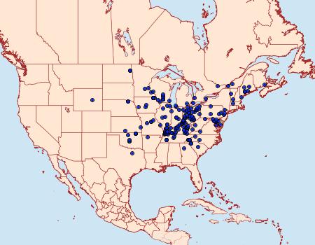 Distribution Data for Papaipema nebris