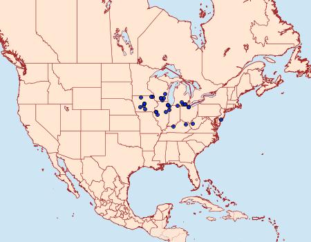 Distribution Data for Papaipema silphii