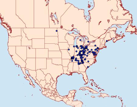 Distribution Data for Papaipema cerussata