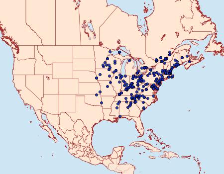 Distribution Data for Machimia tentoriferella