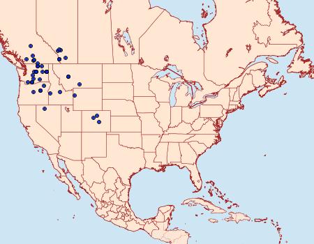 Distribution Data for Hydraecia medialis