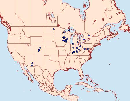 Distribution Data for Hydraecia stramentosa