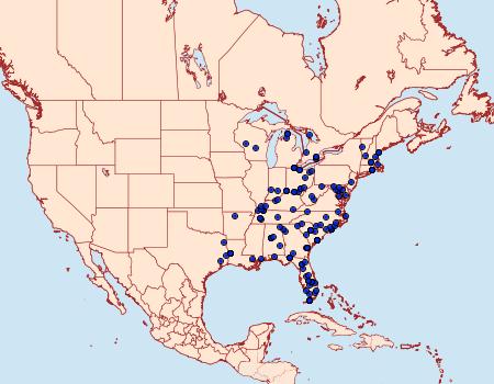 Distribution Data for Iodopepla u-album