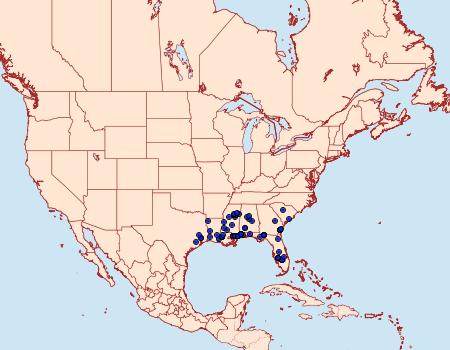 Distribution Data for Eupragia hospita