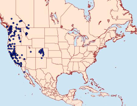 Distribution Data for Aseptis binotata