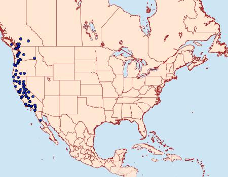 Distribution Data for Paraseptis adnixa