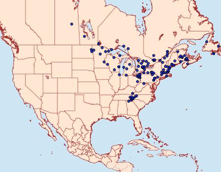 Distribution Data for Phlogophora iris