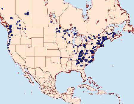 Distribution Data for Phlogophora periculosa