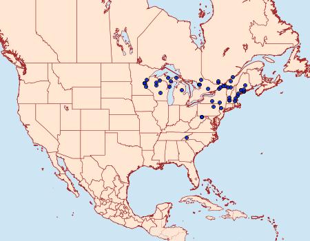 Distribution Data for Conservula anodonta