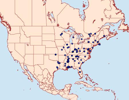 Distribution Data for Psilocorsis quercicella